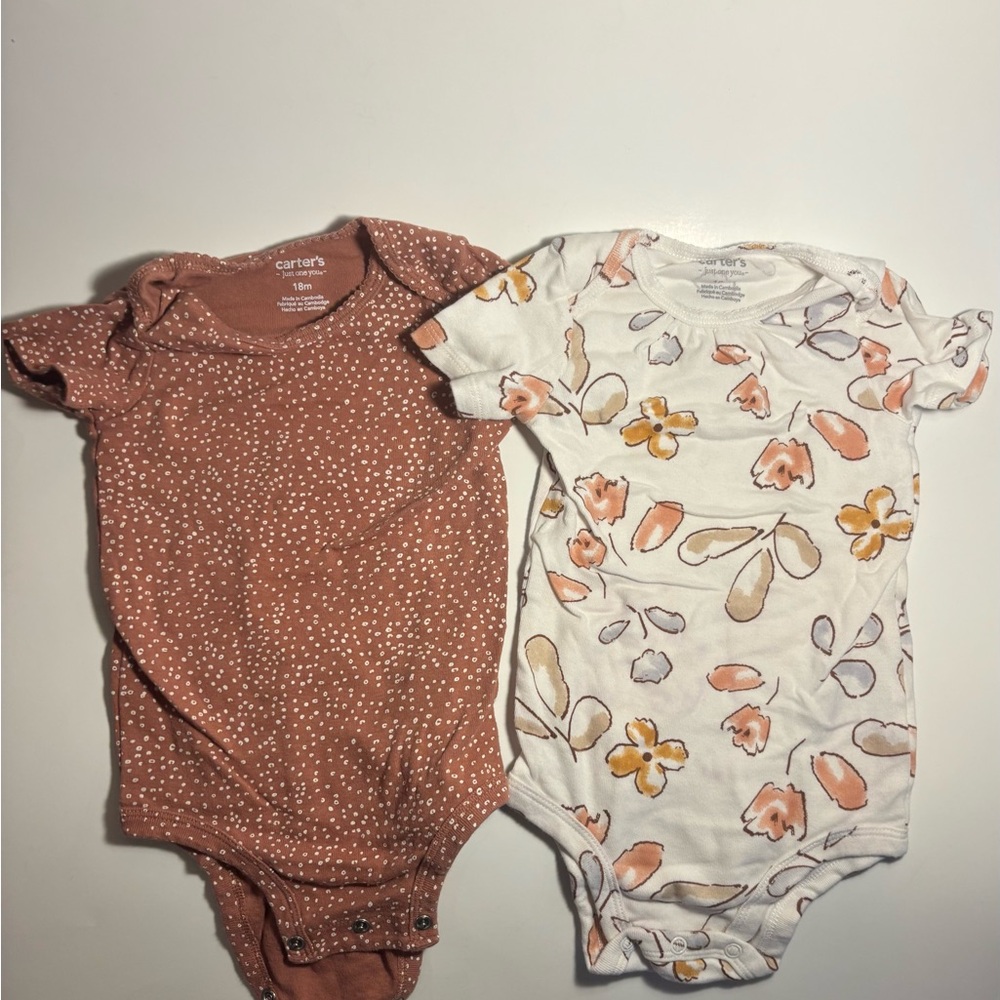 Carter's Rust animal & Cream Floral Short-Sleeve One-Piece Bodysuits - 2 Pack